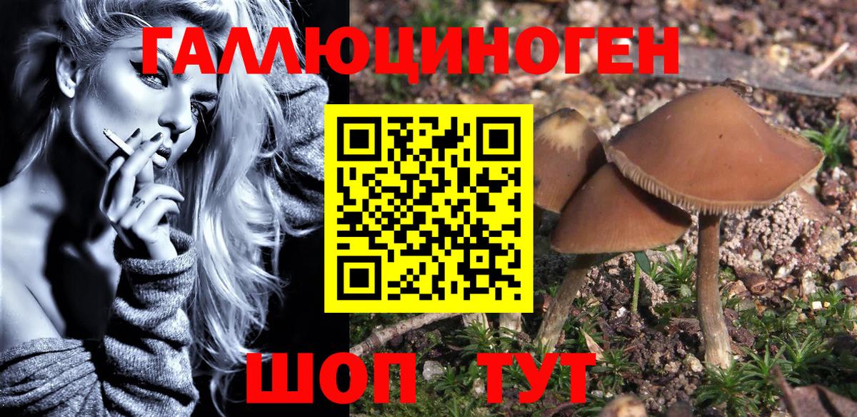 Псилоцибиновые грибы GOLDEN TEACHER  Псилоцибиновые грибы GOLDEN TEACHER  Мыски  Вход с VPN 